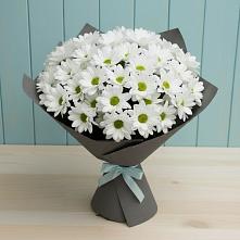 Букет цветов из:  Хризантемы #REPLACE_PRED# Голынки