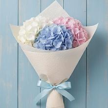 Букет цветов из:  Гортензия в Голынки