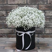 Цветочная композиция из Гипсофила в шляпной коробке в Голынки