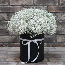 Цветочная композиция из Гипсофила в шляпной коробке в Голынки