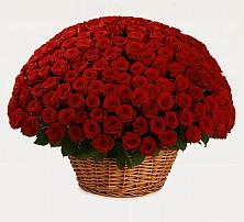 Премиум букет из: Розы в Голынки