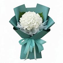 Букет цветов из:  Гортензия в Голынки